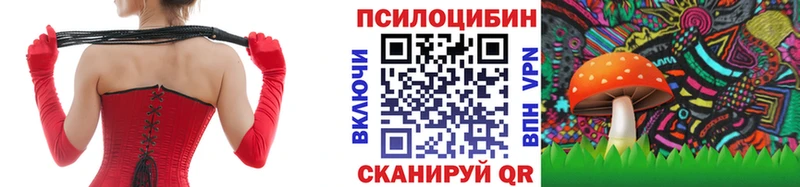 Купить  Нахабино  Псилоцибиновые грибы мицелий 